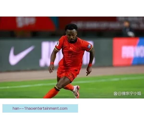 中国男足归化前锋费南多正式转会申花引发新赛季锋线格局球迷期待